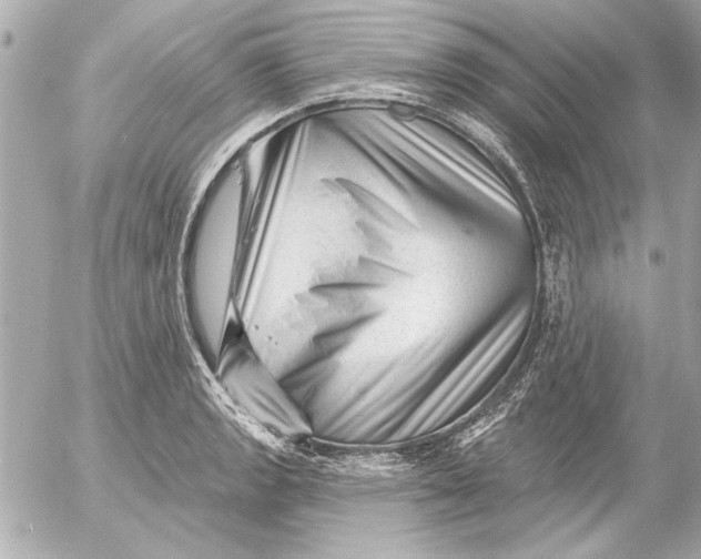 X0000054461133200508191655