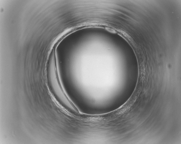 X0000054461134200508191655