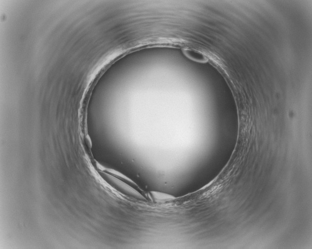 X0000054461135200508191655