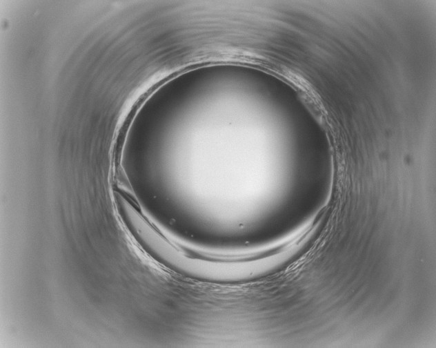 X0000054461136200508191655