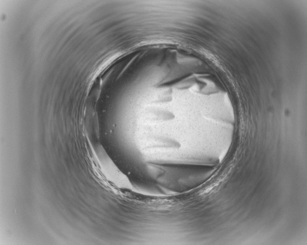 X0000054461137200508191655