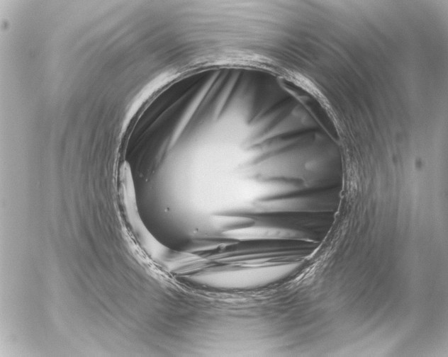 X0000054461138200508191655