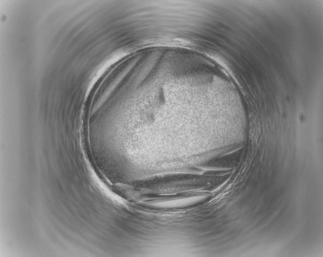 X0000054461139200508191656