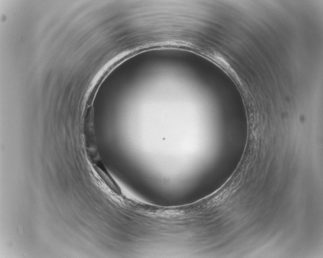 X0000054461140200508191656