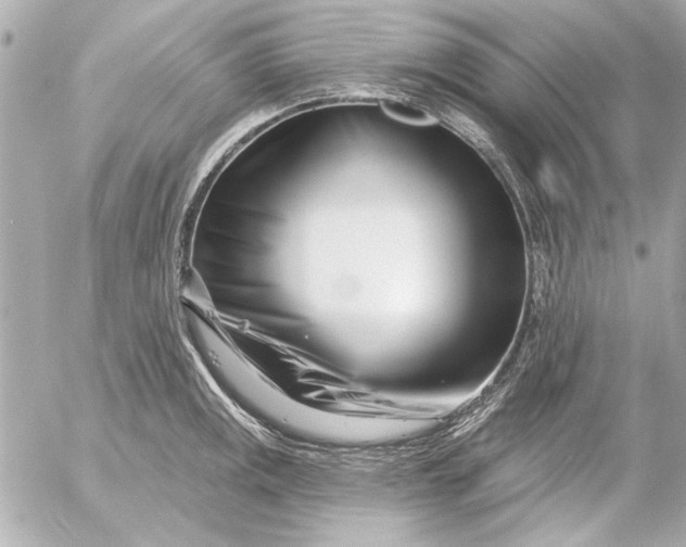 X0000054461141200508191656