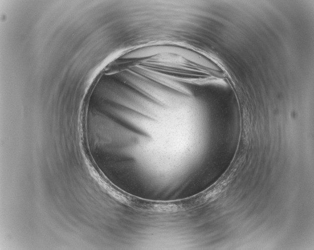 X0000054461142200508191656