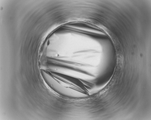 X0000054461143200508191656