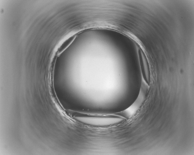 X0000054461144200508191656