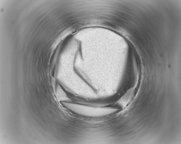 X0000054461145200508191656