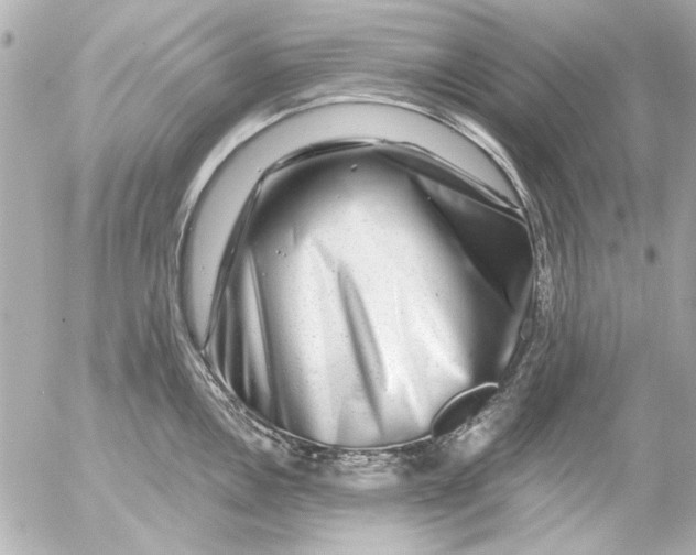 X0000054461146200508191656