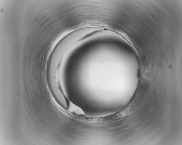 X0000054461147200508191656