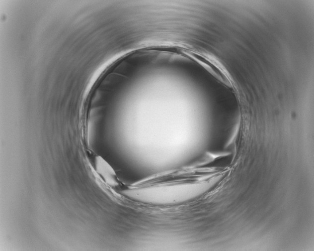 X0000054461148200508191656