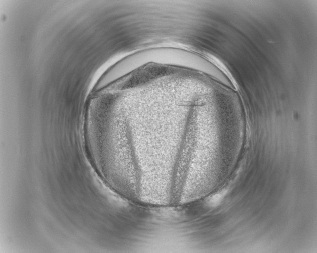 X0000054461149200508191656