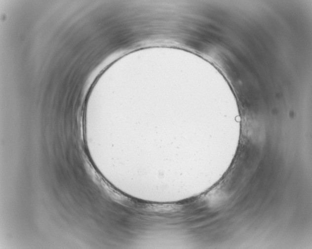 X0000054461150200508191656