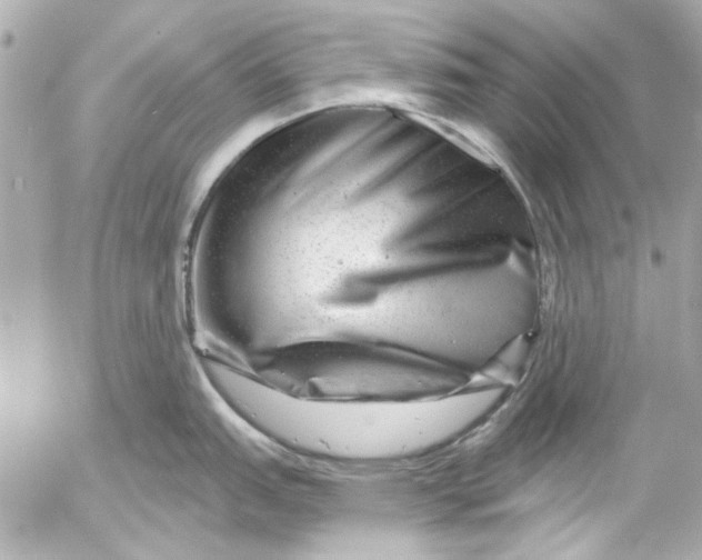 X0000054461151200508191656