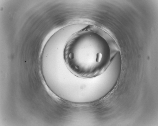 X0000054461152200508191656