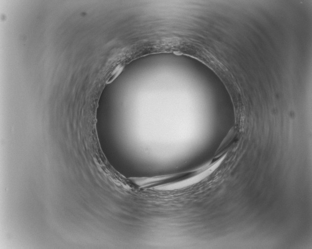 X0000054461153200508191655