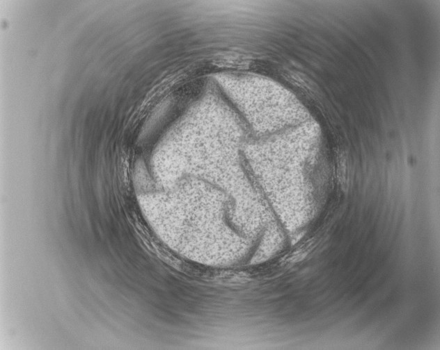 X0000054461154200508191655