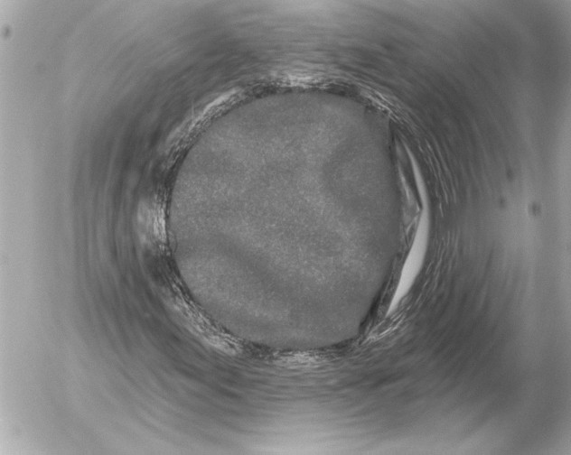 X0000054461155200508191655