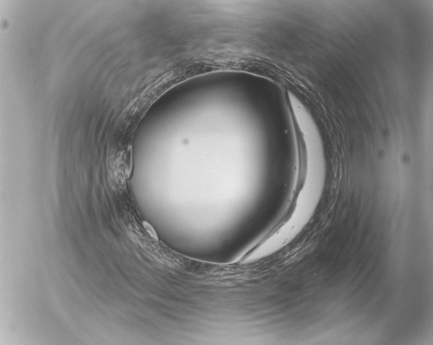 X0000054461156200508191655