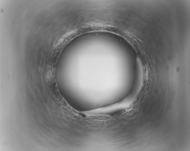 X0000054461157200508191655