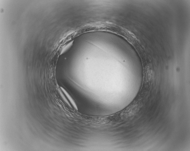 X0000054461158200508191655