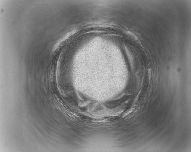 X0000054461159200508191655