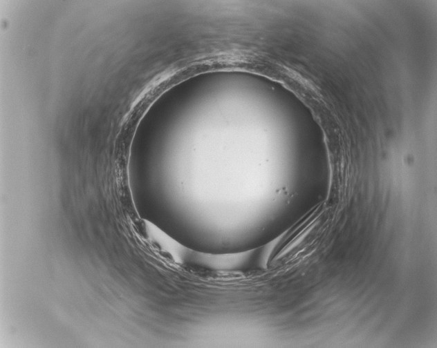 X0000054461160200508191655