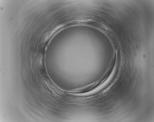 X0000054461161200508191655