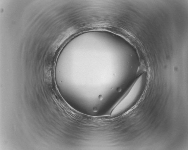 X0000054461162200508191655