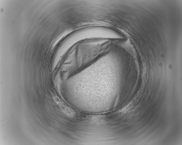 X0000054461163200508191655