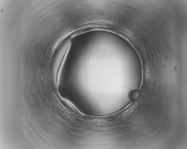 X0000054461164200508191655