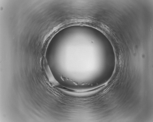 X0000054461165200508191655