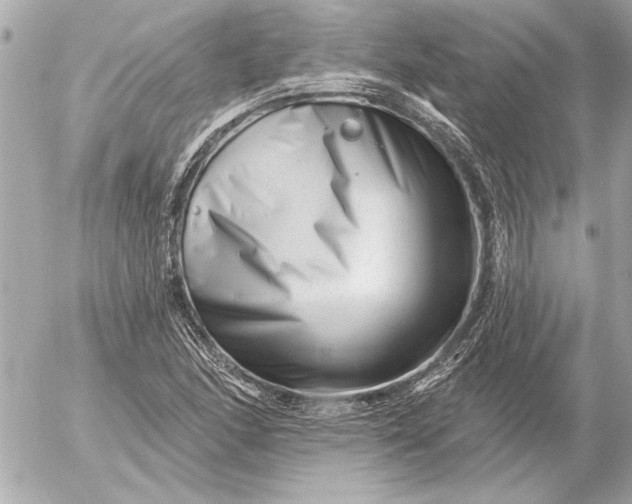 X0000054461166200508191655