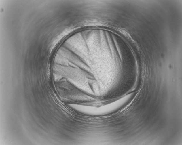 X0000054461167200508191655