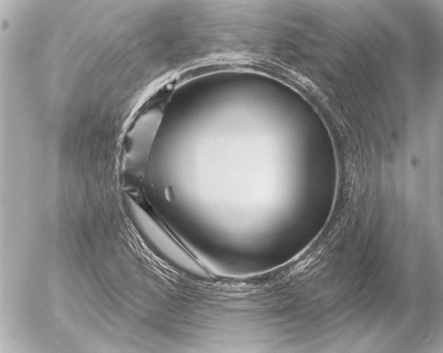 X0000054461168200508191655