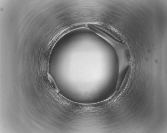 X0000054461169200508191655