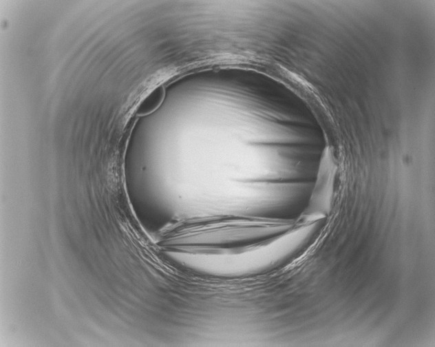 X0000054461170200508191655