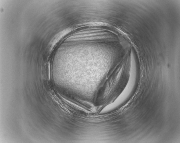 X0000054461171200508191655