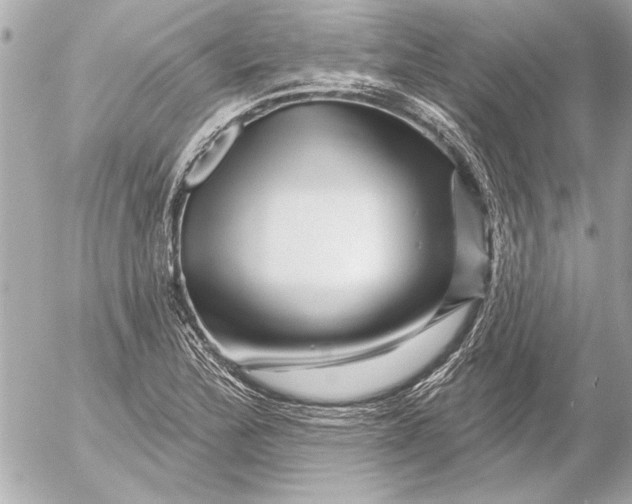 X0000054461172200508191655