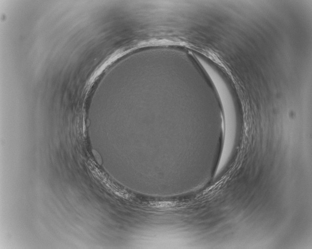 X0000054461173200508191655