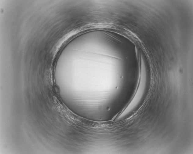 X0000054461174200508191655