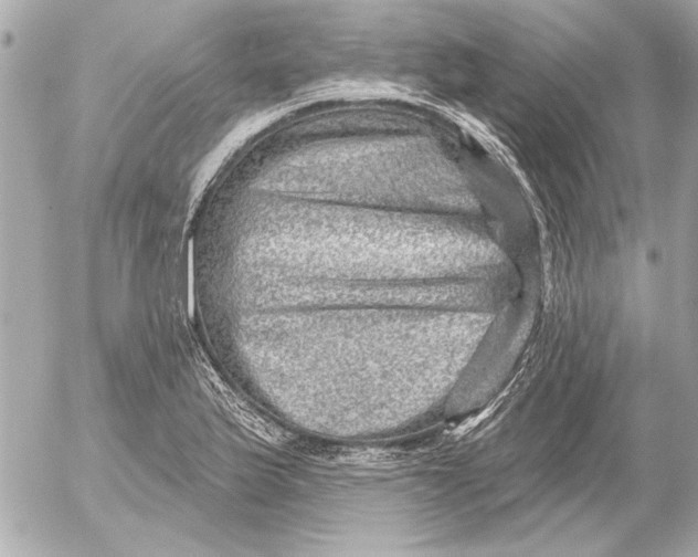 X0000054461175200508191655