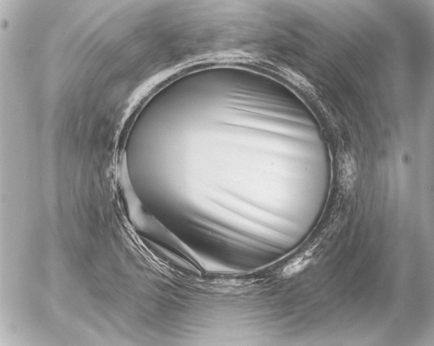 X0000054461176200508191655