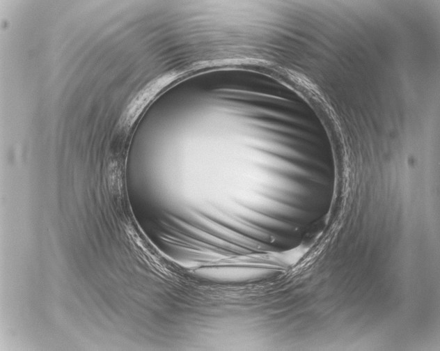 X0000054461177200508191655