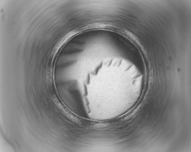 X0000054461178200508191655