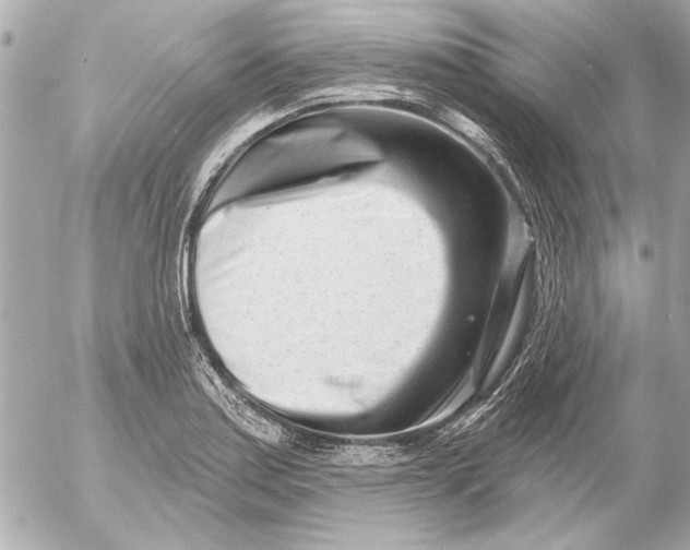 X0000054461179200508191655