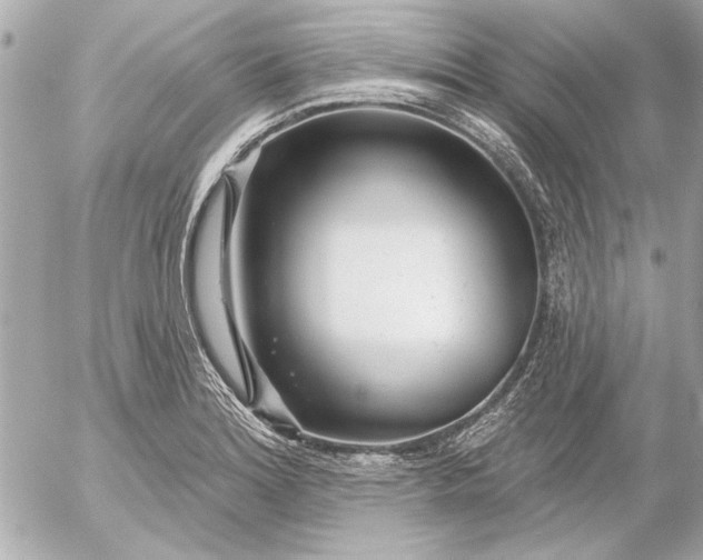 X0000054461180200508191655