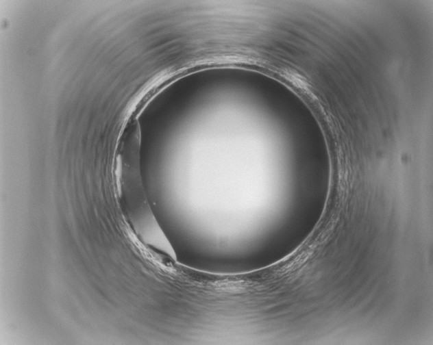 X0000054461181200508191654