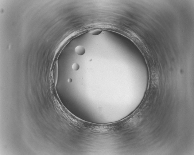 X0000054461182200508191654